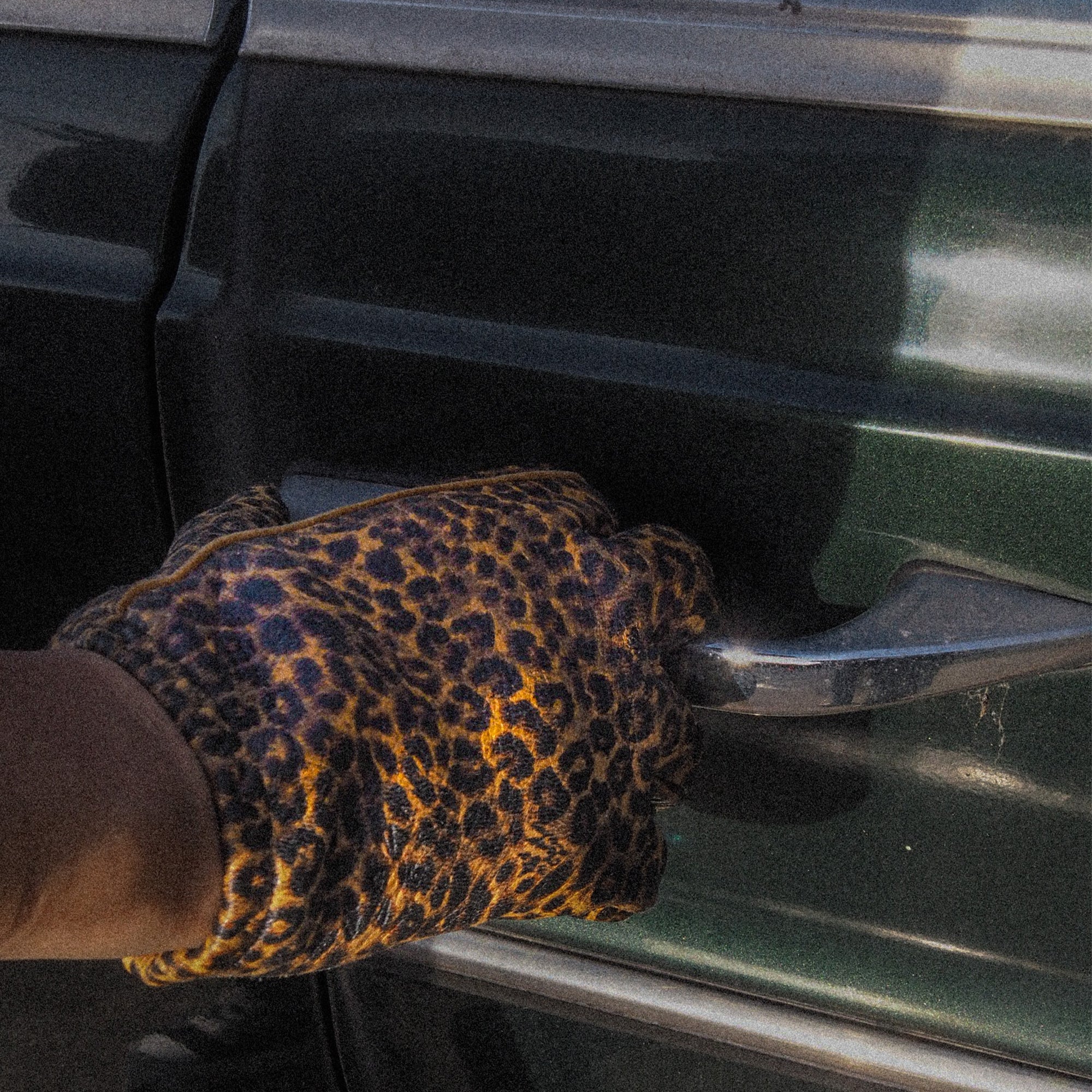 小物 LAMP GLOVES UTILITY GLOVE SHORTY LEOPARD ランプグローブ LAMP GLOVES ショーティグローブ Shorty Glove