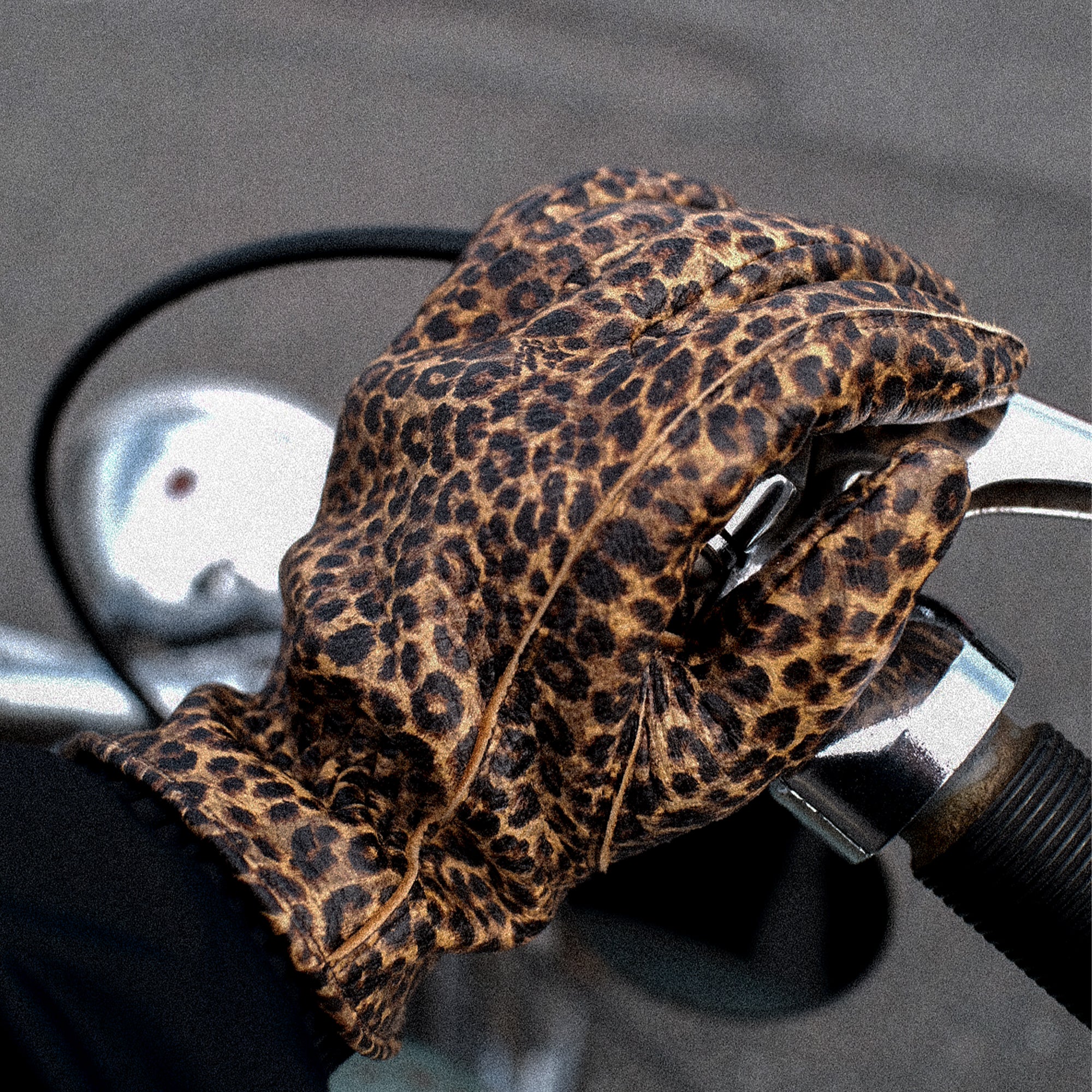 Lamp gloves -Utility glove Standard- LEOPARD
